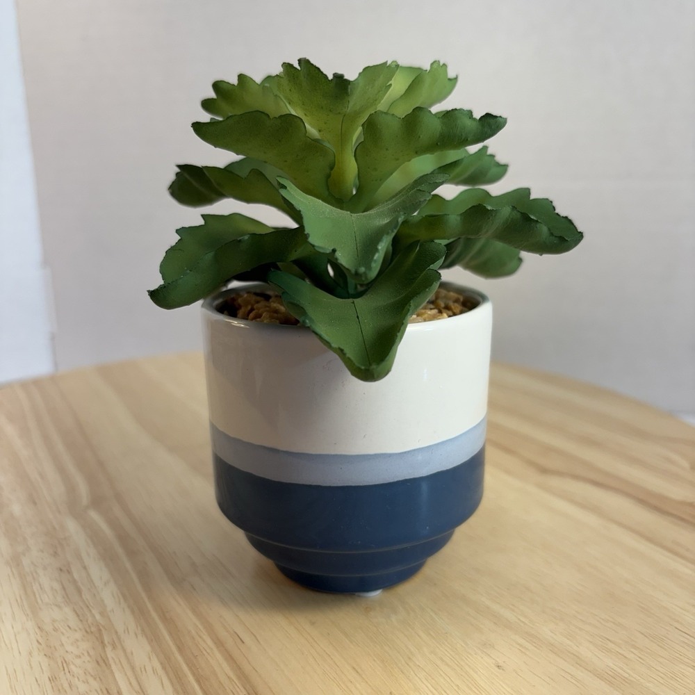Bird's Nest Fern Potted Artificial Houseplant Blue & White Ceramic Pot 7"